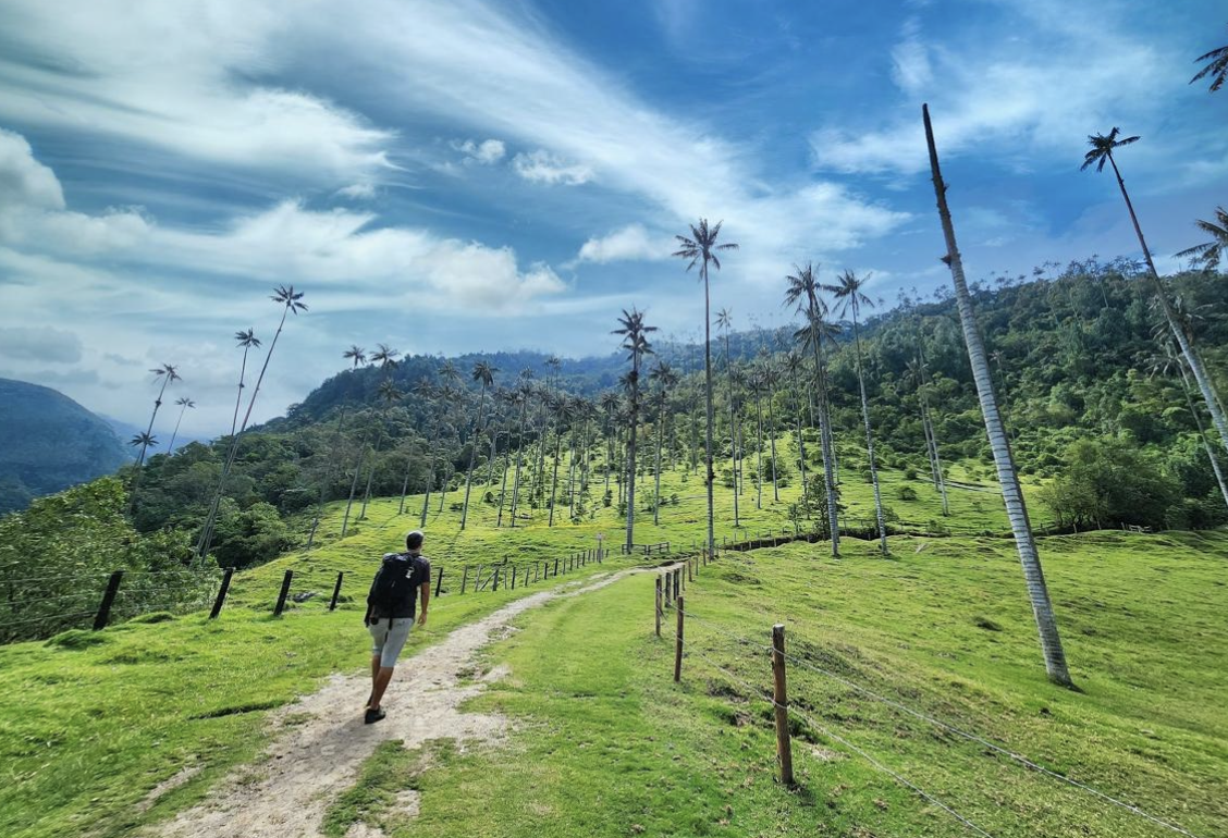 Vale do Cocora