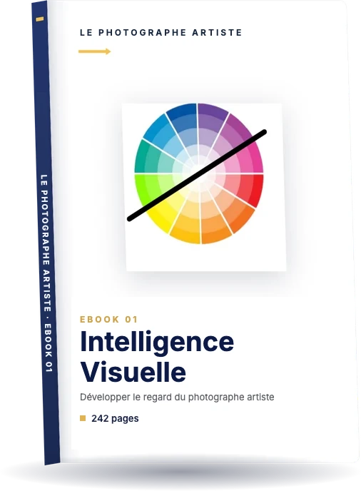 Ebook 1