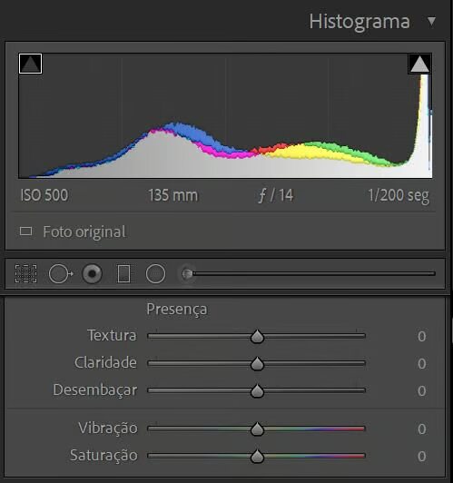 Painel do Lightroom com histograma e os controles de Presença: Textura, Claridade, Desembaçar, Vibração e Saturação