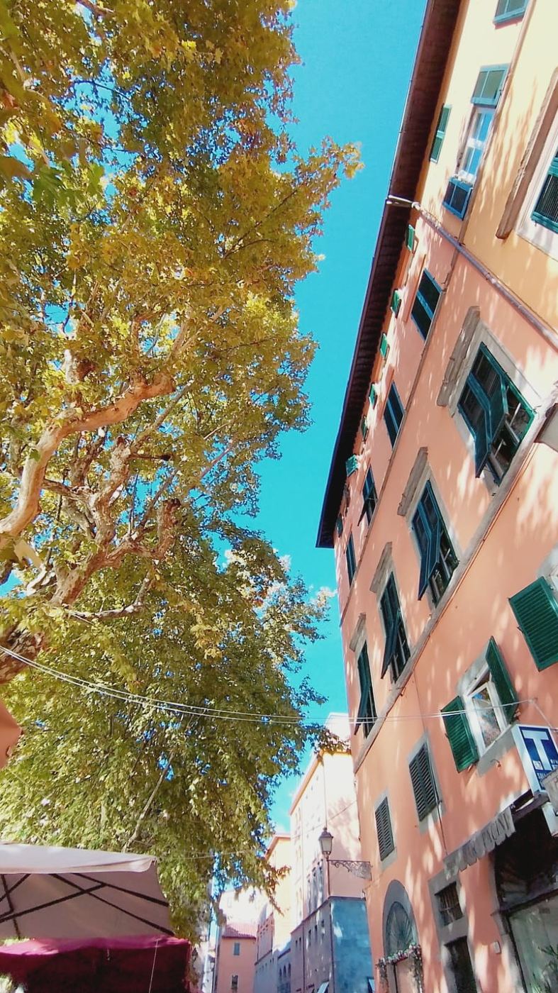 Ruas das Cinque Terre